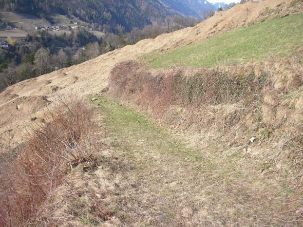 Wiesenplanierungen